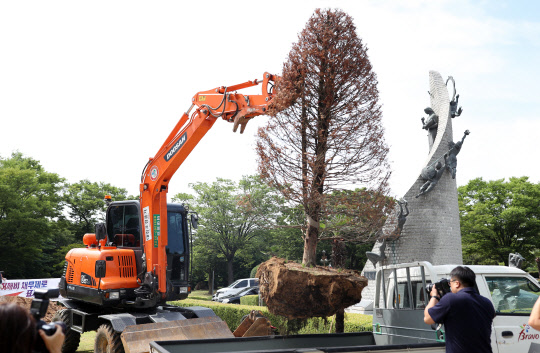 27일 오후 경남도 관계자가 창원시 의창구 경남도청 앞에서 홍준표 자유한국당 전 대표가 경남도지사 재직 시절 '경남도 채무 제로'를 기념해 심었던 기념식수를 뽑고 있다.